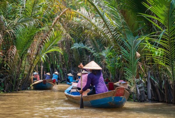 Miệt vườn miền Tây - Image 2